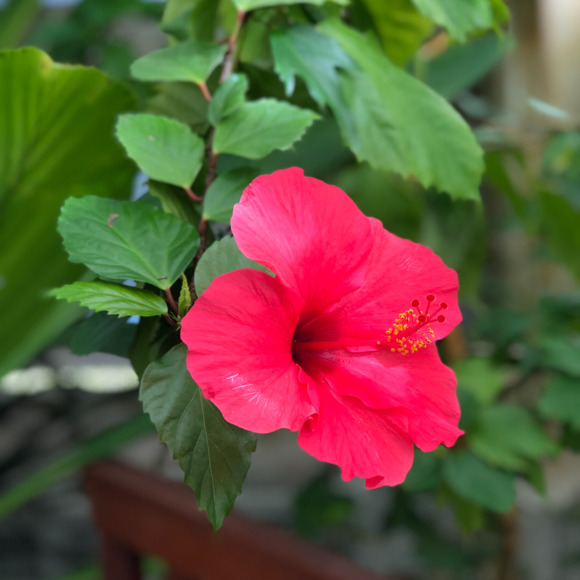 Meet your Posher, Taylor - Picture 1 of 1